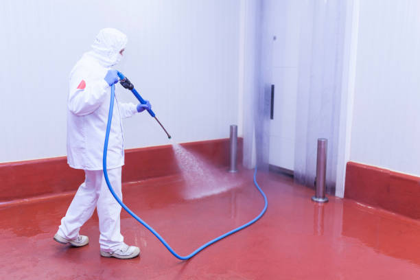 Best Spring Cleaning  in Monteagle, TN